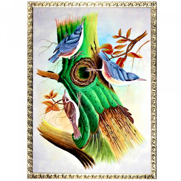 Nuthatch Bird Painting