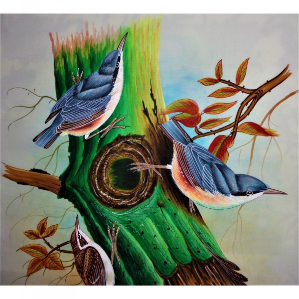 Nuthatch Bird Painting