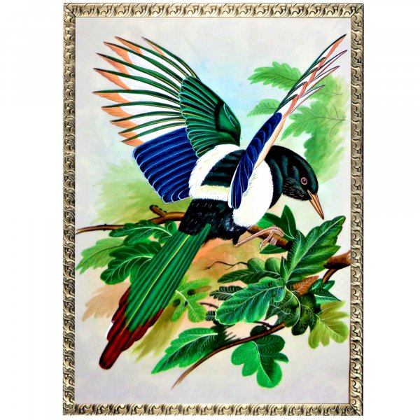 Magpie Bird Painting