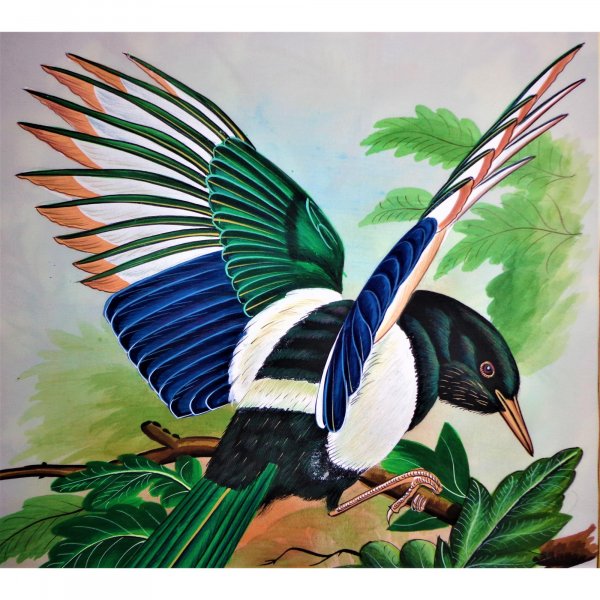 Magpie Bird Painting