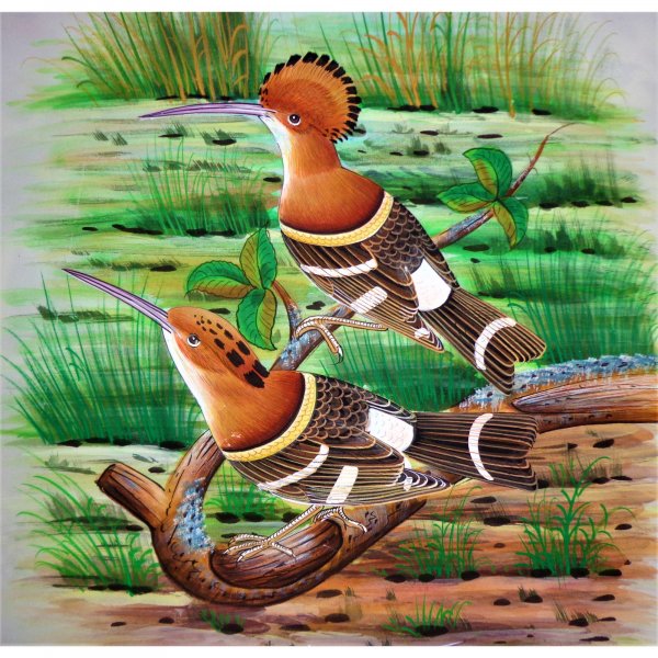 Hoopoe Bird Painting