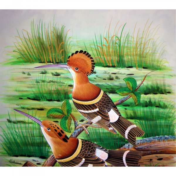 Hoopoe Bird Painting