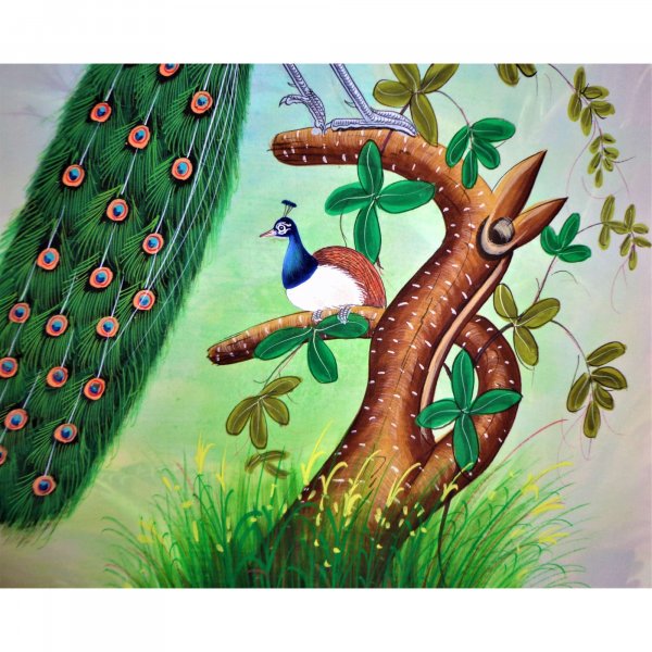 Peacock Bird Painting