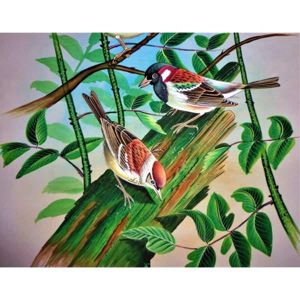 Finch Bird Painting