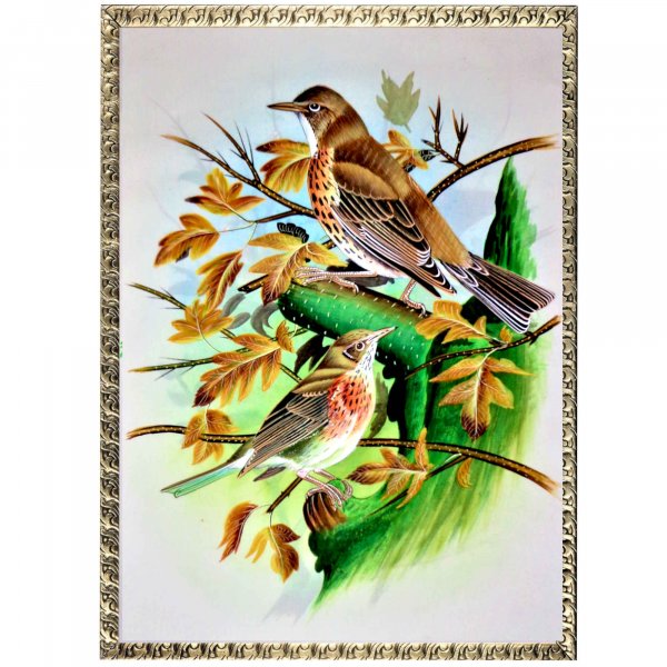 Thrasher Bird Painting