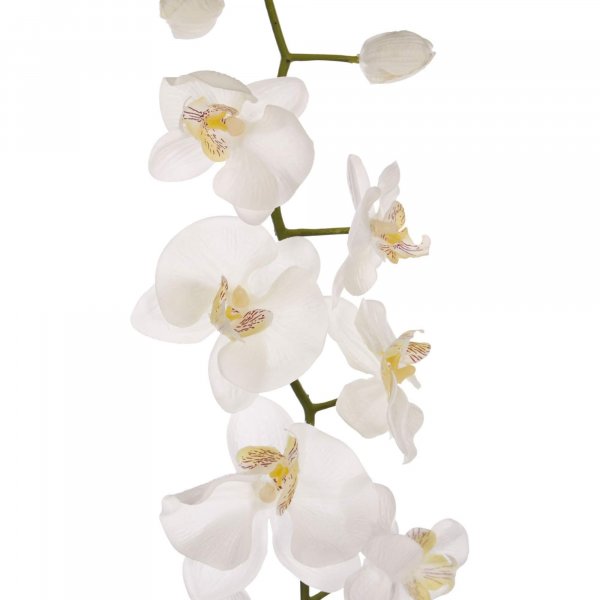 Faux Orchid Stem - BBFPP10