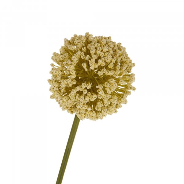 Faux Allium Stem - BBFPP12
