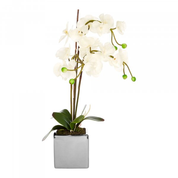 Faux White Orchid Plant - BBFPP17