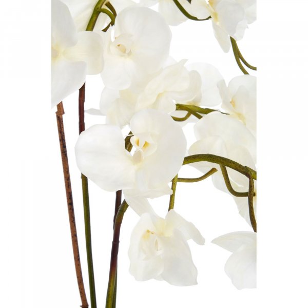 Faux White Orchid Plant - BBFPP17