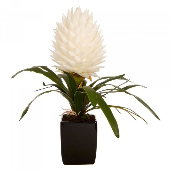 Faux White Tropical Plant - BBFPP18
