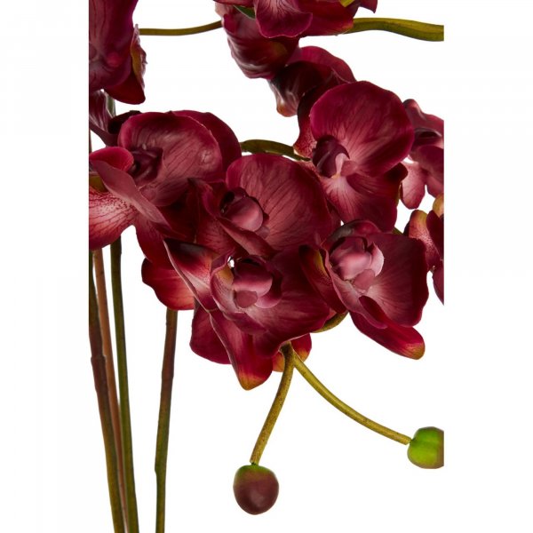 Faux Aubergine Orchid Plant - BBFPP19