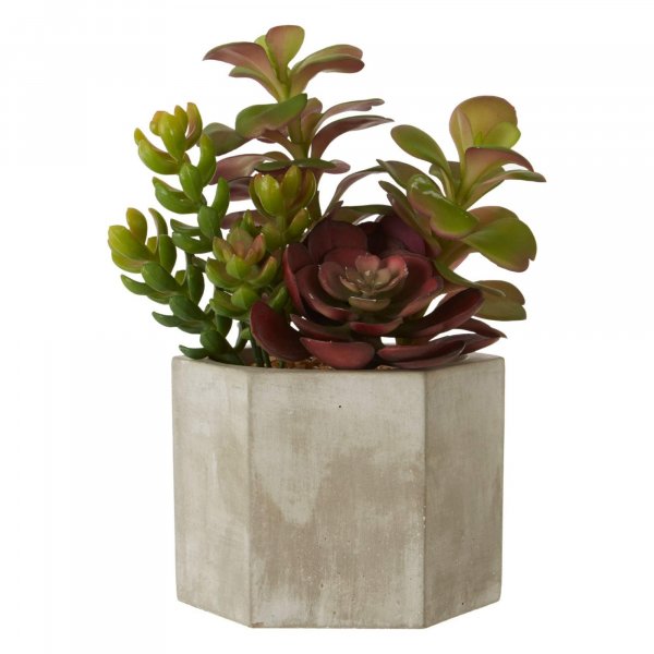 Faux Succulent Plant - BBFPP22