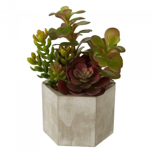 Faux Succulent Plant - BBFPP22