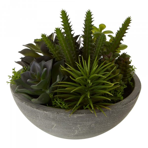 Faux Succulent Plant - BBFPP26