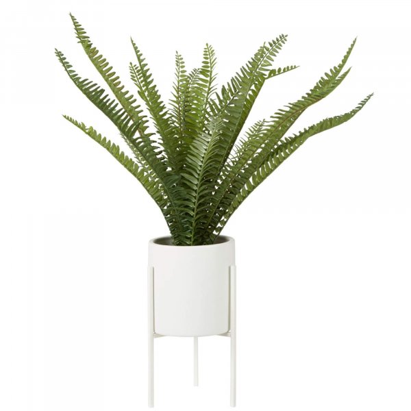 Faux Fern Succulent Plant - BBFPP31
