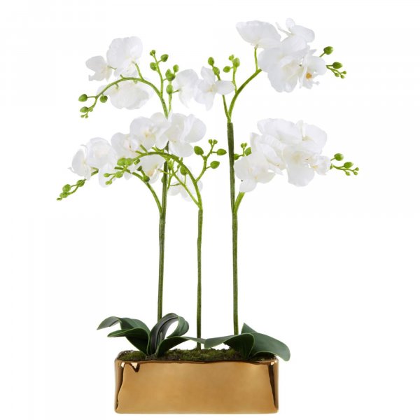 Faux White Orchid Plant - BBFPP33