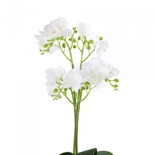 Faux White Orchid Plant - BBFPP33