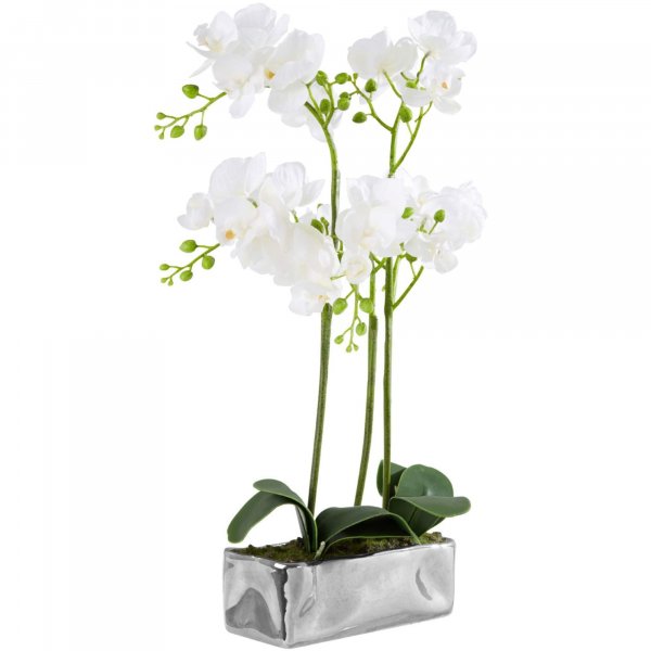 Faux White Orchid Plant - BBFPP34