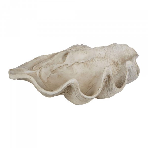 Decorative Clam Shell Showpiece - BBODA34
