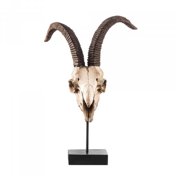 Decorative Goat Skull Showpiece - BBODA59